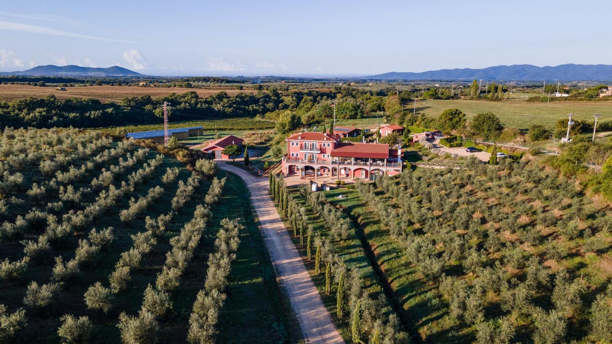 Il Podere Di Marfisa Farnese Extérieur photo