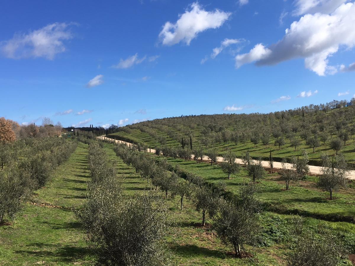 Il Podere Di Marfisa Farnese Extérieur photo